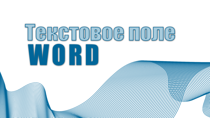 текстовое поле